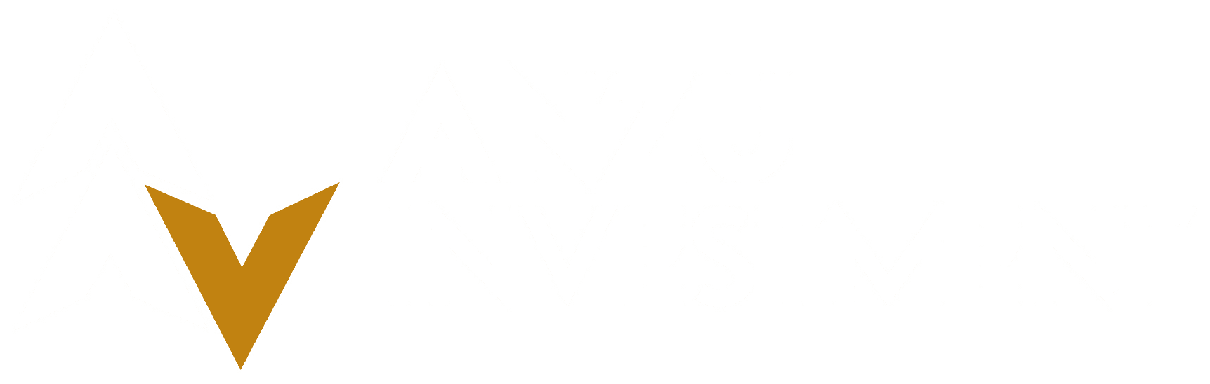 Anzu Investment