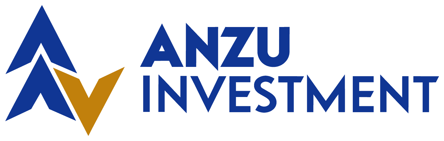 Anzu Investment